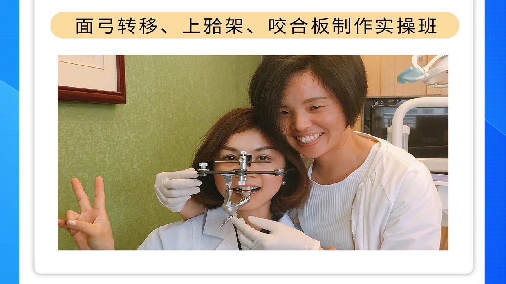 维也纳颌学班